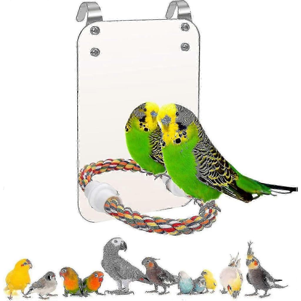 2025 Latest Model Bird Stand Rope Perch With Mirror Parrot Toy, Bird Mirror For