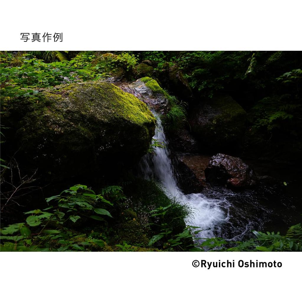 Sigma SIGMA Sigma L Mount Lens 28-70mm F2.8 DG DN Zoom Standard Full Size Contemporary Mirrorless Exclusive