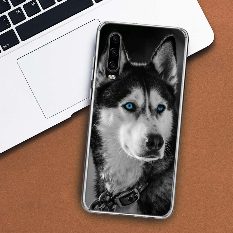 Чехол для телефона с изображением собаки сибирского хаски для Huawei P30 P20 P10 P40 P50 Pro Mate 20 40 30 10 Lite, популярный чехол Fundas Art Gift Coque
