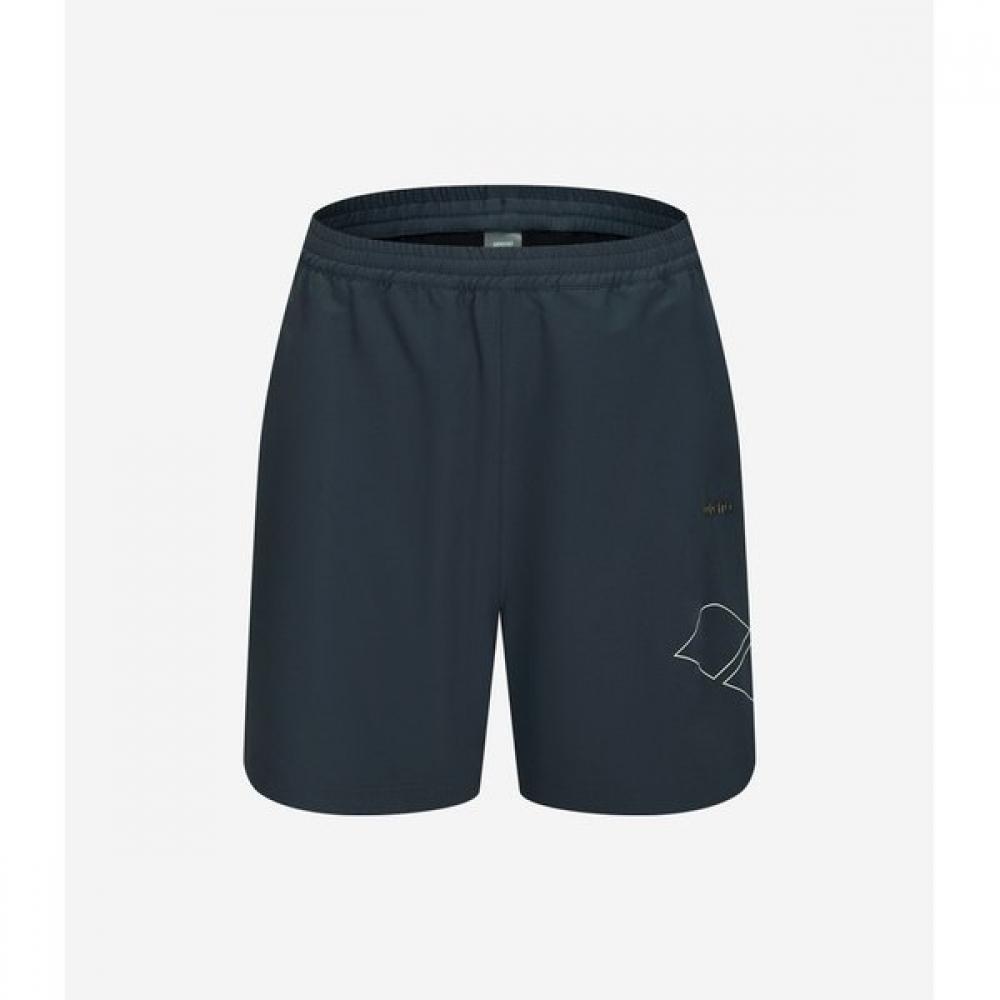 Arena Flow 5 Big Logo Shorts Dch