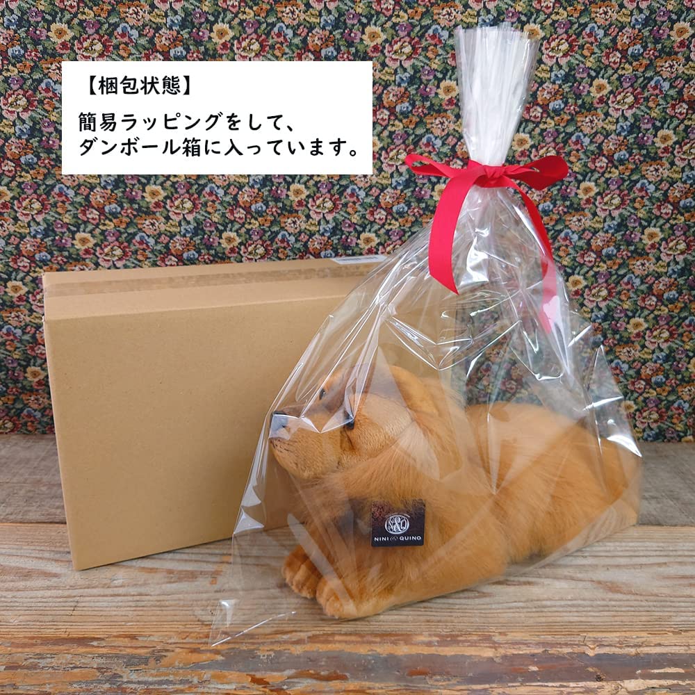 Realistic Nini and Kino Plush Toy Dog Realistic Lying Dog Total Length Approximately 40cm Pet Long [Stuffed Dog] (Dachshund Red)