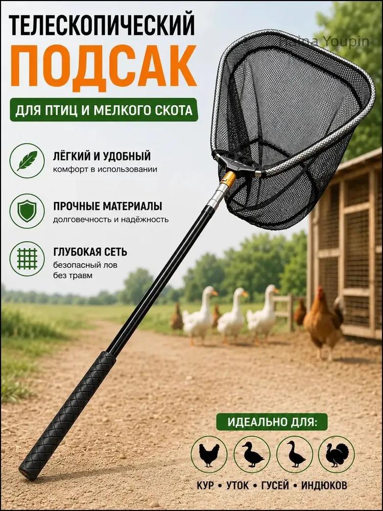 Accessory for Livestock Cages