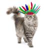 Костюм Собаки на Хэллоуин   Костюм Индейца для Питомца Кошки Собаки Косплей Костюм Набор Питомца Одежда