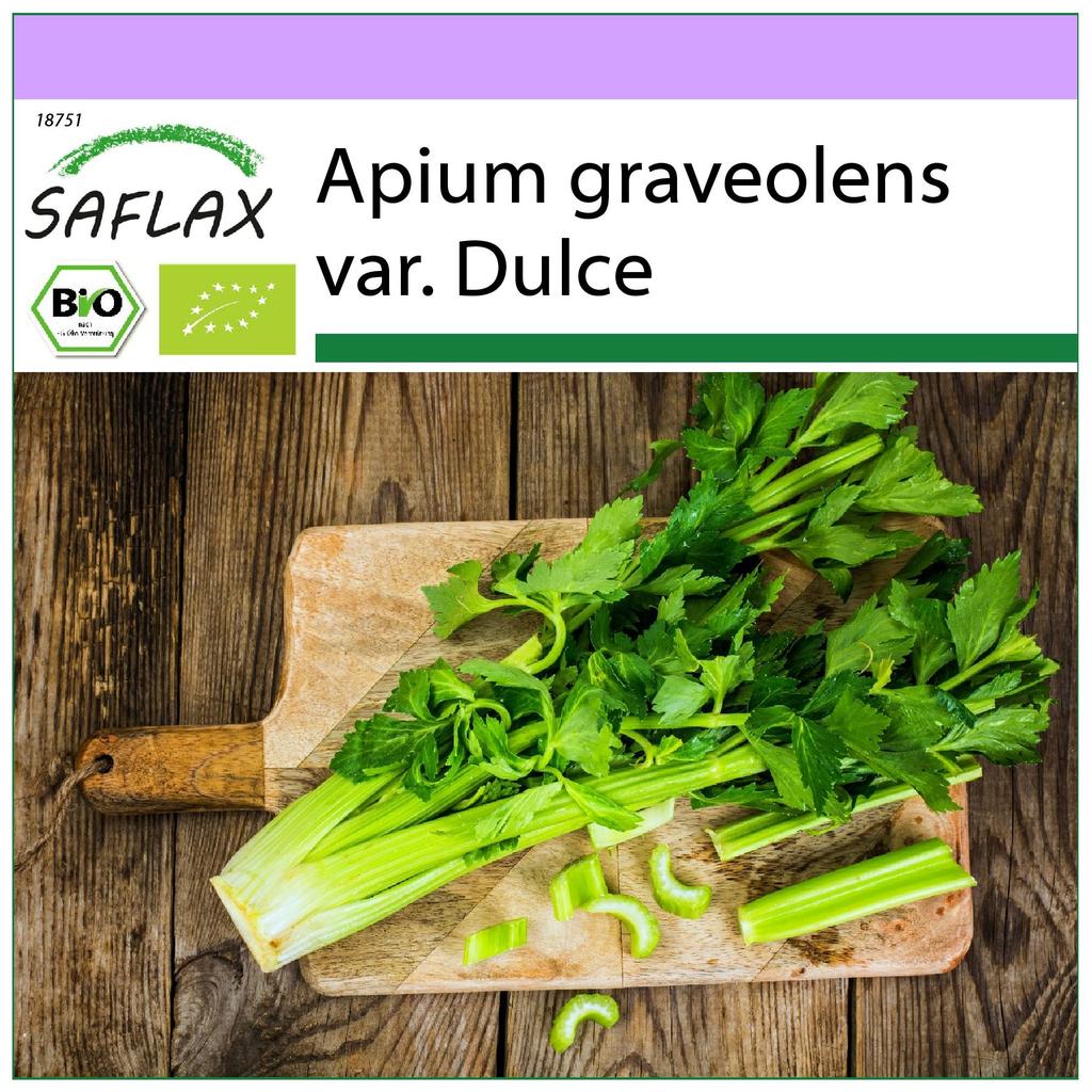 SAFLAX Organic - Сельдерей Паскаль - Tall Utah - 500 семян - Apium Graveolens