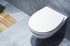 Soft-close, removable toilet seat AWD INTERIOR 1443 Bolero duroplast white