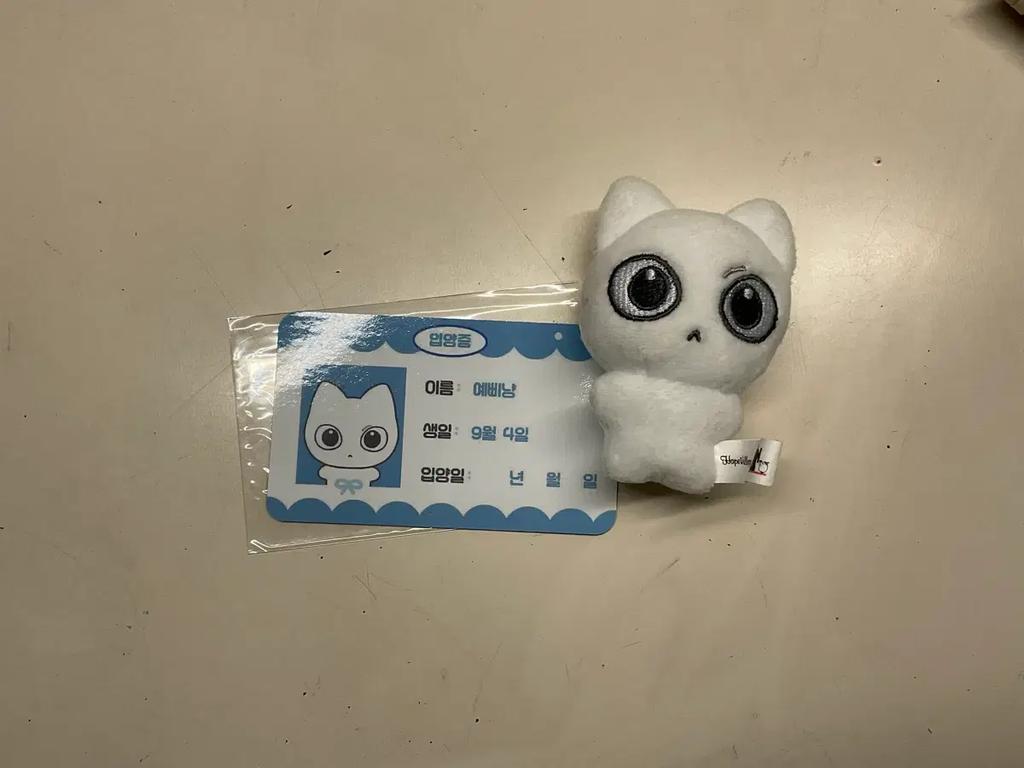 The BOYNEXTDOOR bonneck is also cute. Used