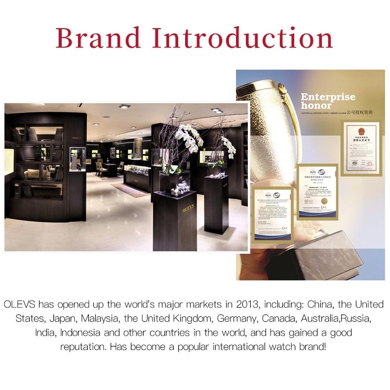 OLEVS Brand Watches Automatic Mechanical Watches Niche Women Watch Women