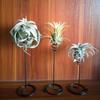 3Pcs Metal Air Pineapple Stand Base Plant Flower Rack Holder Home Balcony Decor