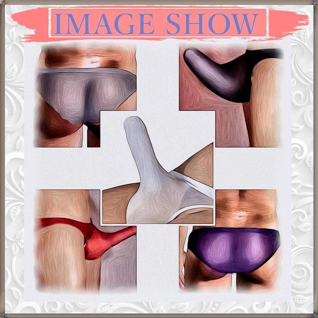 La Transparent Sexy Underwear Micro Mesh Pants Lingerie Elephant Briefs [Heureux Joie] Men's See-Through Men's (XL, PURPLE)