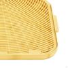 Cat Litter Ramp Step Decorative Multifunctional Trapping Mat Trapper for Terrace Bathroom