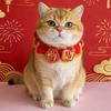 Handmade Cat Knitted Scarf Cartoon Puppy Collar Festive Gifts Chinese Style Pet Scarf  Winter