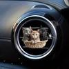 Декор салона автомобиля Автомобильный освежитель воздуха Диффузор Автомобильный дефлектор Воздуховод Ароматические клипсы Диффузор аромата для вентиляции