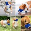 Soft Anti Bite Dogs Muzzles Adjustable Dogs Mouth Cover Puppy Toe Clip Dog Mouth Mask  Walking