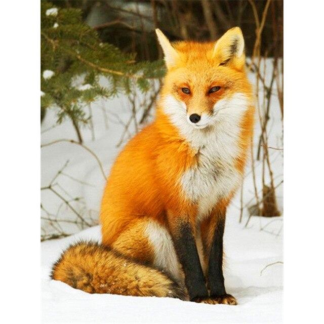 5D алмазная живопись лиса животное Алмазная вышивка крестиком Новое поступление полная квадратная круглая алмазная мозаика картина домашний декор
