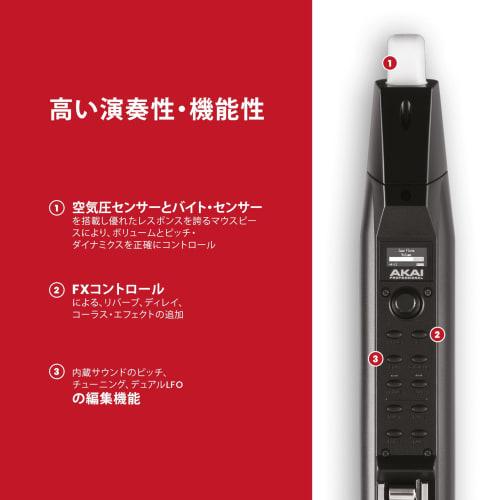 Akai Professional EWI Solo Wind Synthesizer, Electronic Wind Instrument with Built-in Speaker and 200 Voices