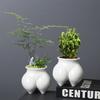 Creative Art Flower Pot Ceramic Succulent Pot Planter Home Decor Garden Decoration Desktop Ornaments Bonsai Plant Pot
