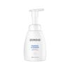 Skin Foaming Cleanser 240ml