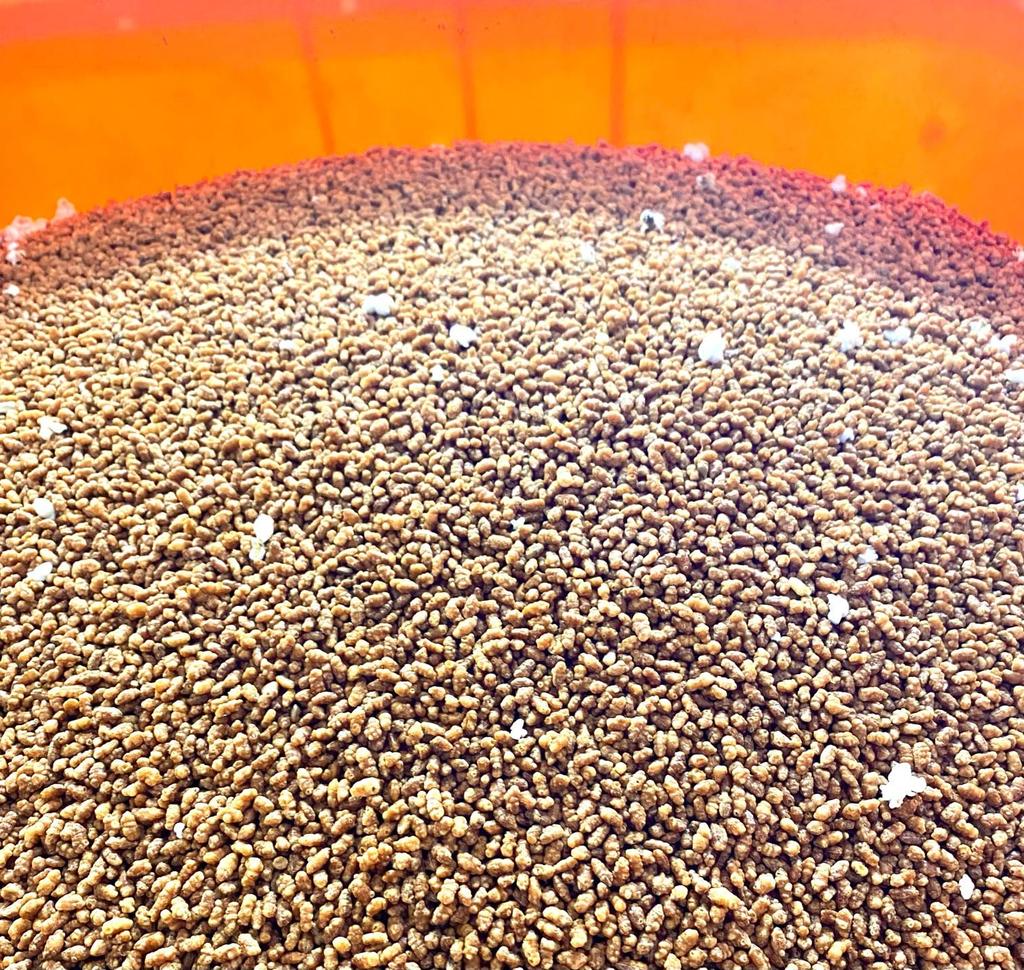 Выгодная упаковка чайных пакетиков Генмаича Исеча, 5 г, 100 чайных пакетиков, Зимний, Чайник, Офис, Дом, Коммерческое использование, Японский чай, Чайные листья, Коричневый рис, Жареный