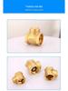 Durable Brass Horizontal Check Valve - Anti-Backflow, Fully Automatic, 6 Points for Tanks and Pipes