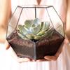 Стильный стеклянный цветочный горшок геометрической формы суккулентов, контейнер для растений, ландшафтное украшение