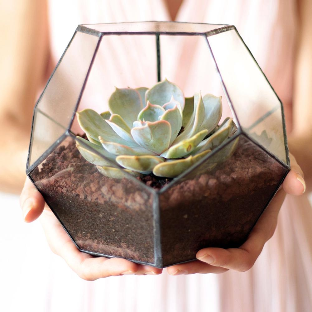 Стильный стеклянный цветочный горшок геометрической формы суккулентов, контейнер для растений, ландшафтное украшение