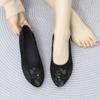 Spring New Flat-bottomed Pointed Single Shoes Women's Casual Doudou Shoes
