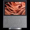 Xiaodu Smart Screen X10 10-inch AI Smart Speaker with Video Call CN plug (adapter included)