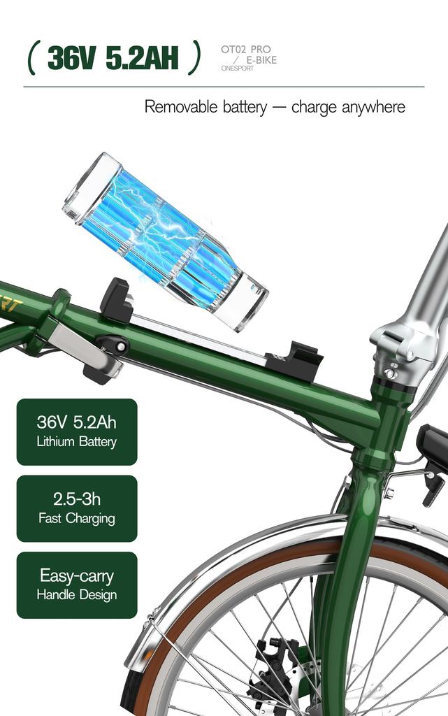 ONESPORT OT02 Pro 250W36V5.2Ah Battery 25km Range Torque Sensor Fenders & LCD Display