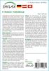 SAFLAX Бонсай - Красный клен - 20 семян - С горшечным субстратом для лучшего выращивания - Acer Rubrum