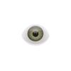 20pcs 4 colors Funny Animal Toys Doll Safety Eyes Dinosaur Eye Accessories DIY Craft