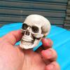 Halloween  Artificial Skull Head Model Skull Bone Scary Horror Skeleton Ornament