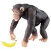 TAKARA TOMY Animal Dinosaur Realistic Moving Figure Toy Ages 3 and Up Toy Safety Standards Passed ST Mark Certified ANIA "ANIA AS-14 Chimpanzee"