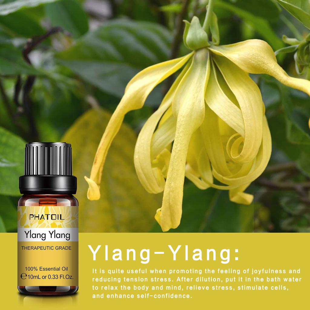 PHATOIL 10 шт. Эфирное масло для ароматерапии 100% натуральное эфирное масло идеально подходит для диффузоров-увлажнителей Ароматерапевтический массаж Уход за кожей и волосами