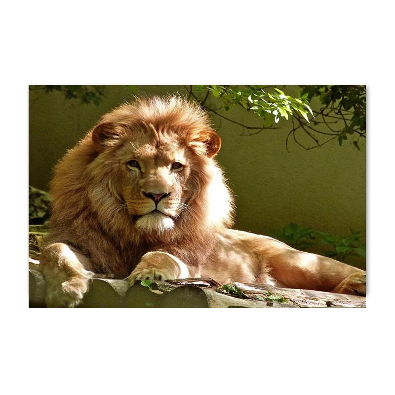 Современные животные Лев холст картины плакаты и принты настенные художественные картины для гостиной спальни украшения дома