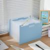 A4 Accordion File Bag with Handle, Multi-Layer PP Foam Document Folder, Large Capacity Expandable Organizer