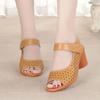 Summer New Fashion Elegant Casual Thick Heel Women's Sandals Lightweight Open Toe Fashionable Fish Mouth High Heels NO:A-4