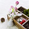 Mini Tulip Night Light Soft Romantic Sensor Baby Bed Room Lamp Home Decor