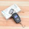 Portable Mini Electronic Hanging Scale for Luggage and Fishing