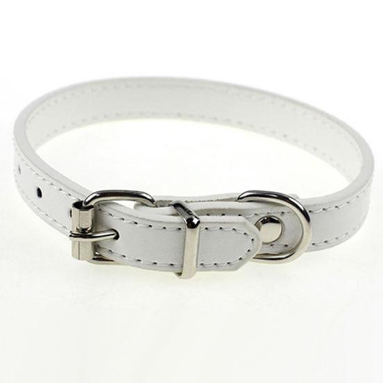 Однотонные ошейники для щенков