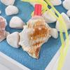 Tourism Necklace Horn Children Creative Kids Shell Shipping Survival Tool Toys Conch  Whistle Gift
