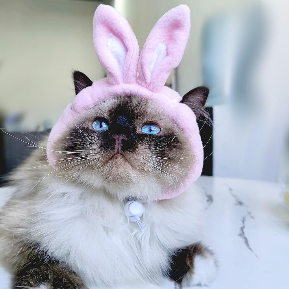 Soft Pet Hat Cute Dog Hat Pet Decorative Hat Cat Hat  Photo Taking