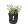 ELHO Pot De Fleurs Rond Greenville 40 - Extérieur - Ø 39 X H 36,8 Cm - Vivre Noir