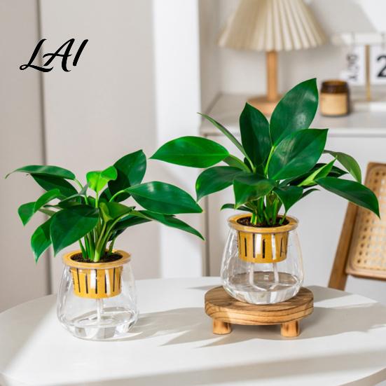 Water Reservoir Planter Self Watering for Indoor Plants Transparent Hydroponic Planter Decorative Clear Plastic Plant Holder Flowerpot with