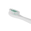 Uchino Sonic Electric Toothbrush Set CN plug (adapter included)