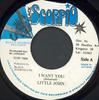 7-дюймовая пластинка LITTLE JOHN  I Want You NONE Black Scorpio 1989 Ямайка Регги Ска Даб Б/у