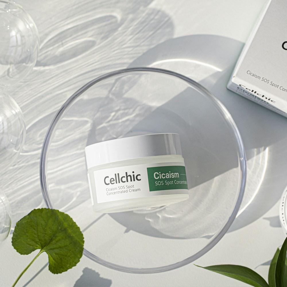 Cell Chic Cicism 4-piece Set Toner + Ampoule + Moisturizing Cream + Intensive Cream, 1 Piece