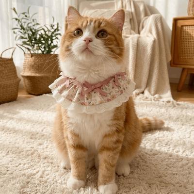 Кошки – Одежда для кошек