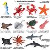 Sea Turtle Dolphin Marine Animal Miniatures Collection For Kids Educational Toys And Decor