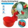60PC Chicken Drinking Cup Automatic Drinker Chicken Feeder Poultry Waterer Drinking Water Feeder for Chicks Duck Goose Quail