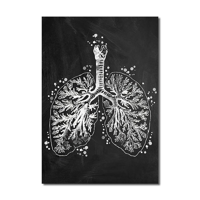 Анатомия человека, винтажный постер, черно-белые органы, холст, картина, настенная художественная печать, современная картина, украшение для гостиной, дома